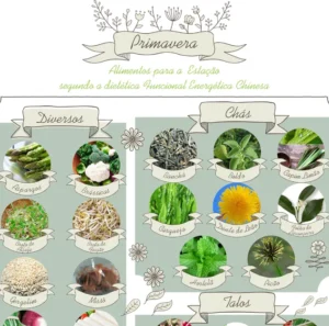 Post alimentos primavera